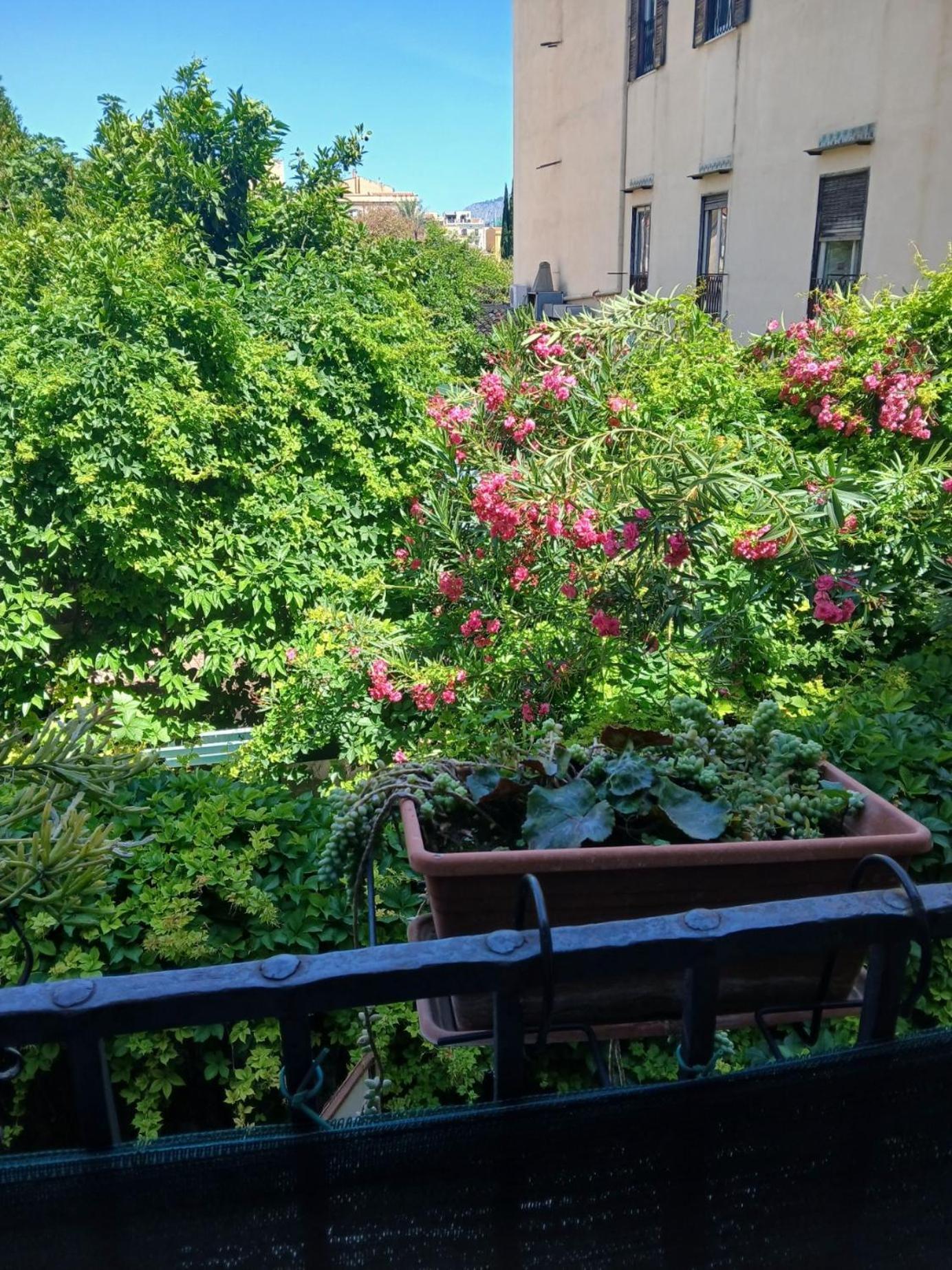 Casa Degli Artisti Frühstückspension